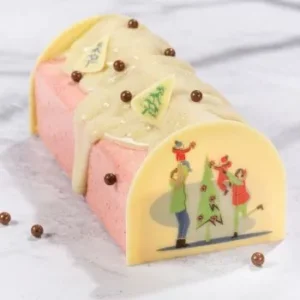 décor buche glacée ou entremets glacé